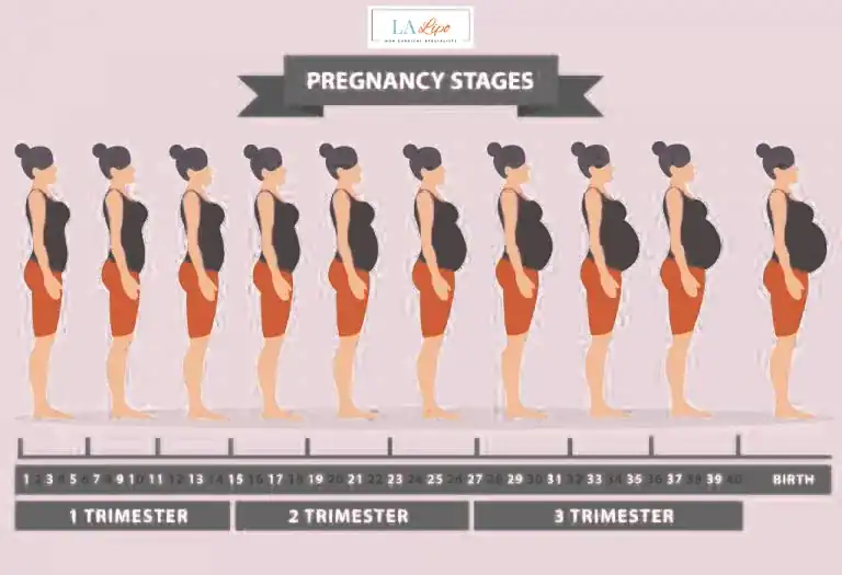 First Trimester (Weeks 1–12): Early Changes You Might Not Notice Basingstoke